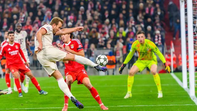 7c3e0dcb-bc71-4edd-b826-20cf351aecca.jpeg 7c3e0dcb-bc71-4edd-b826-20cf351aecca.jpeg